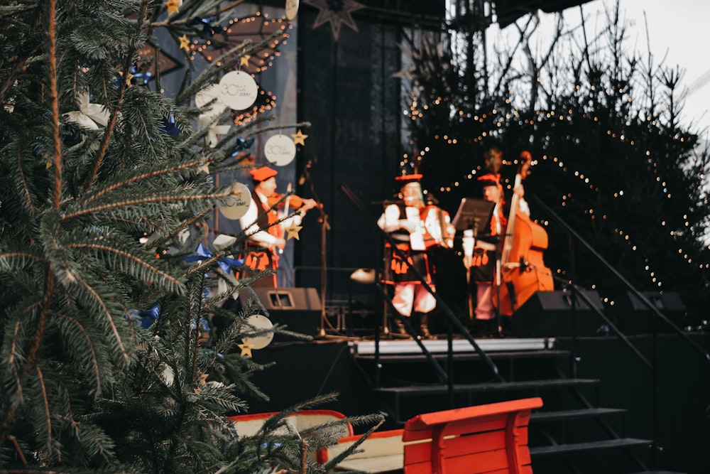 person playing double bass photograph