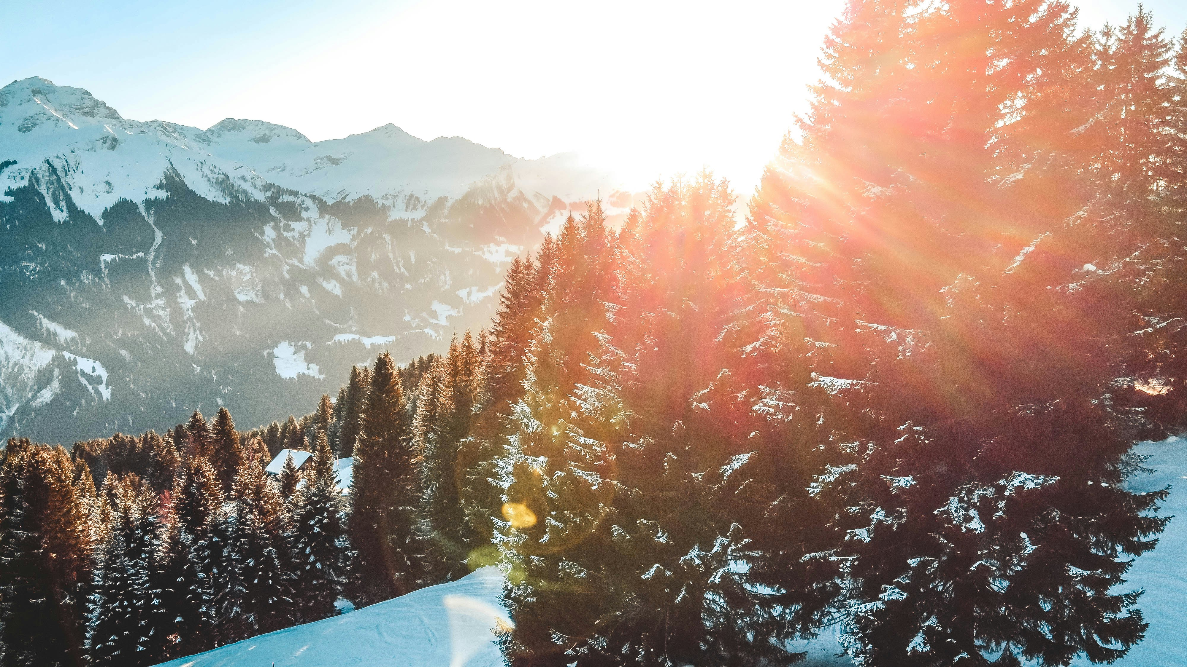 Photo by janoschphotos