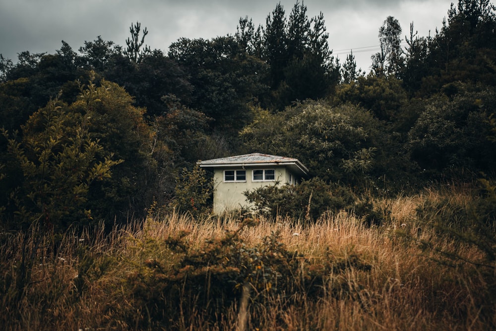 white wooden house photograph