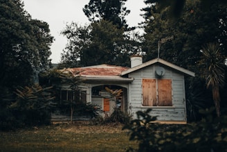 An old, abandoned house with boarded-up windows is surrounded by dense trees and foliage. The roof is rusted, and the paint on the house is peeling, indicating neglect. The yard is overgrown with grass and plants.