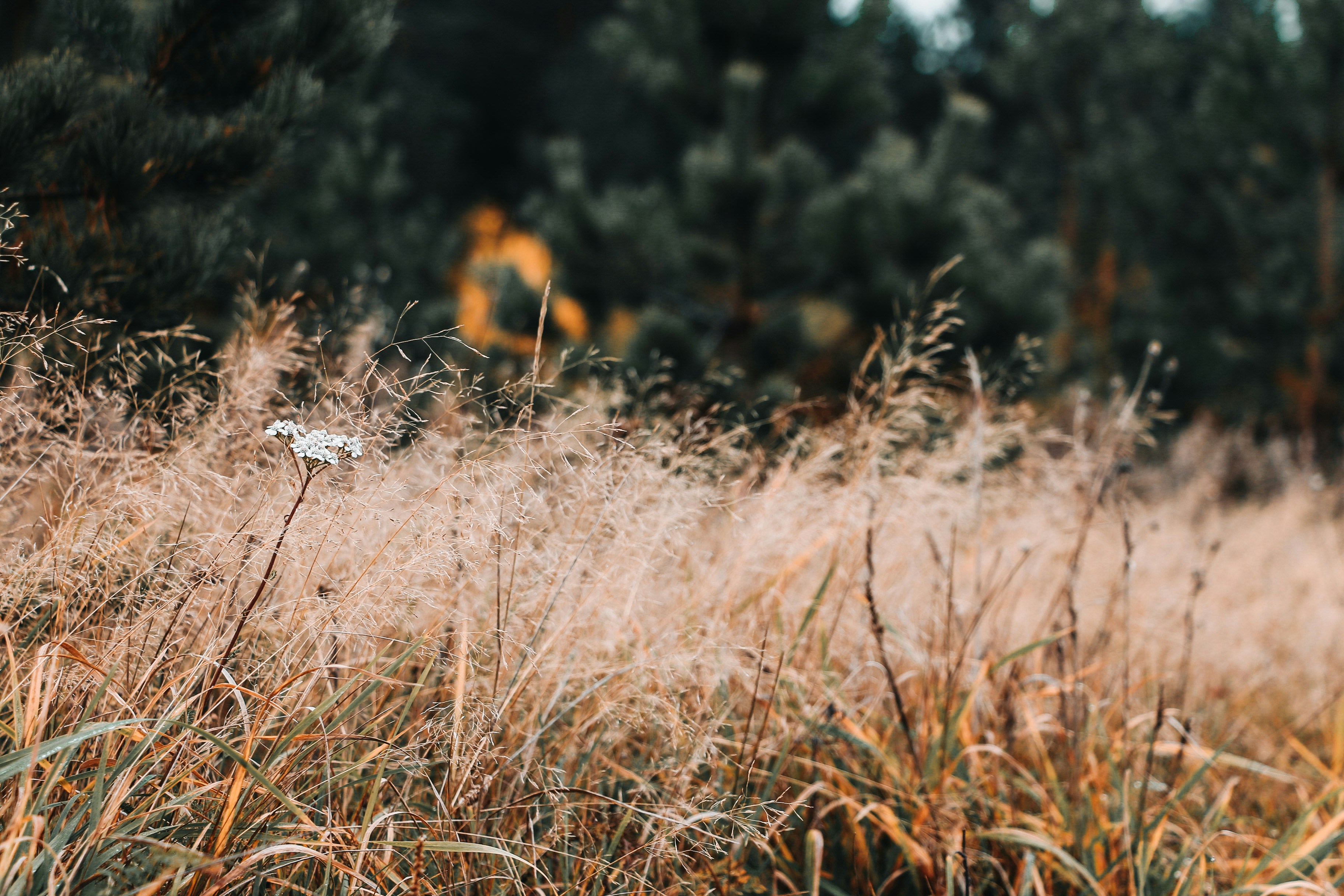 Photo by thatgirlalina