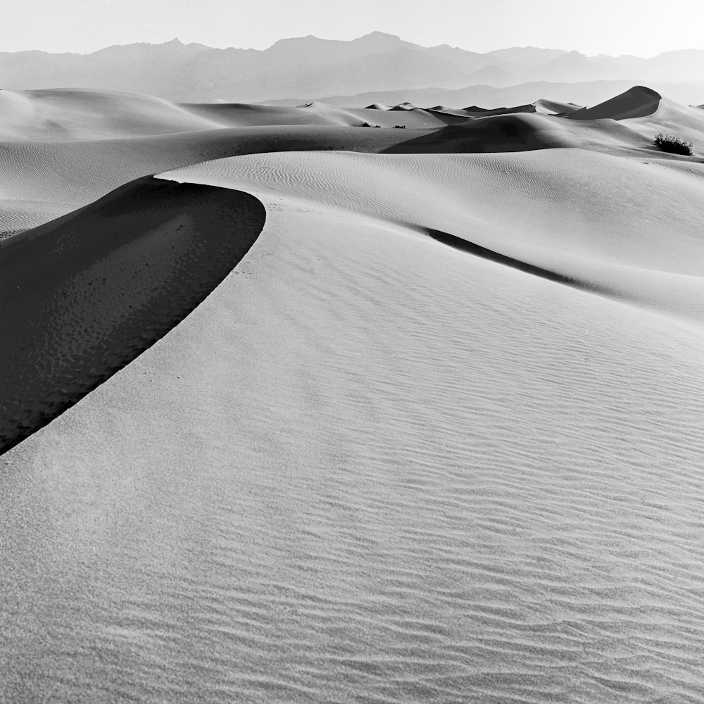 砂漠のフィールドのグレースケール写真