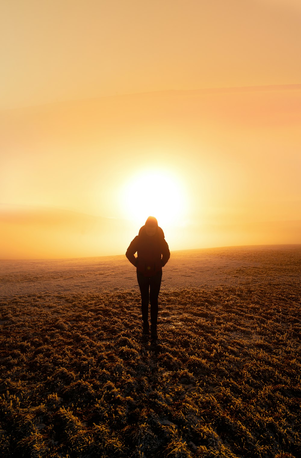 silhouette photography of unknown person standing outdoors