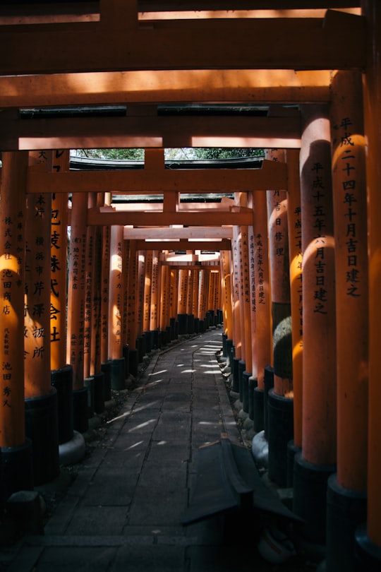 gray walk path in Fushimi Inari Trail Japan