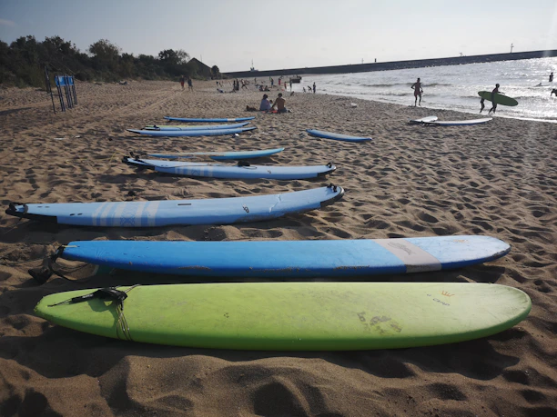 Surfboards lined up on the sandy beach with the ocean and blue sky in the background.