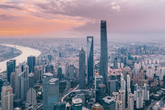 aerial photography of city buildings