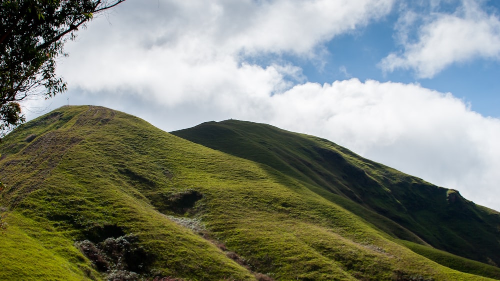 Montaña de hierba durante el día