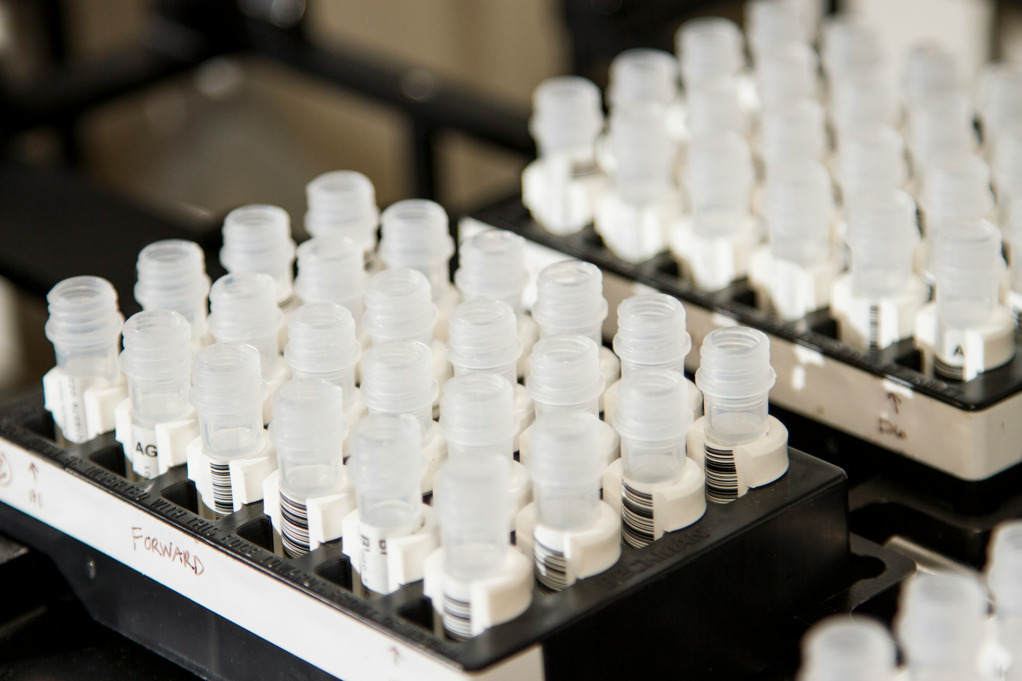 DNA Genotyping and Sequencing. Vials containing DNA samples from studies of the genetic risk for cancer at the Cancer Genomics Research Laboratory, part of the National Cancer Institute's Division of Cancer Epidemiology and Genetics (DCEG).