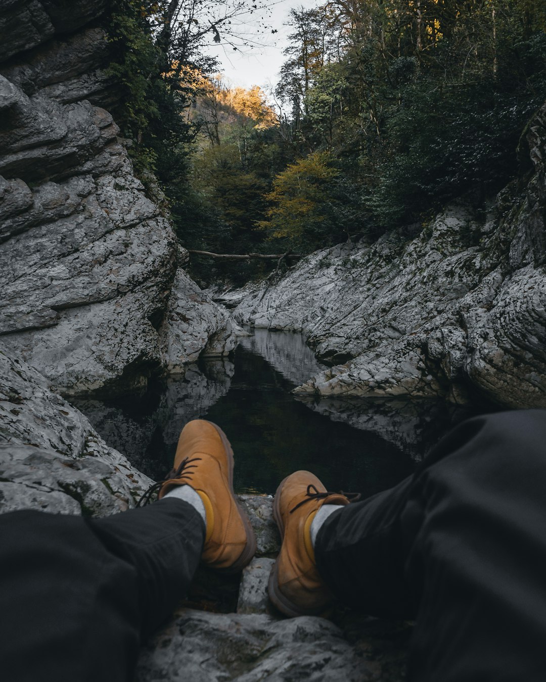 person wearing brown shoes