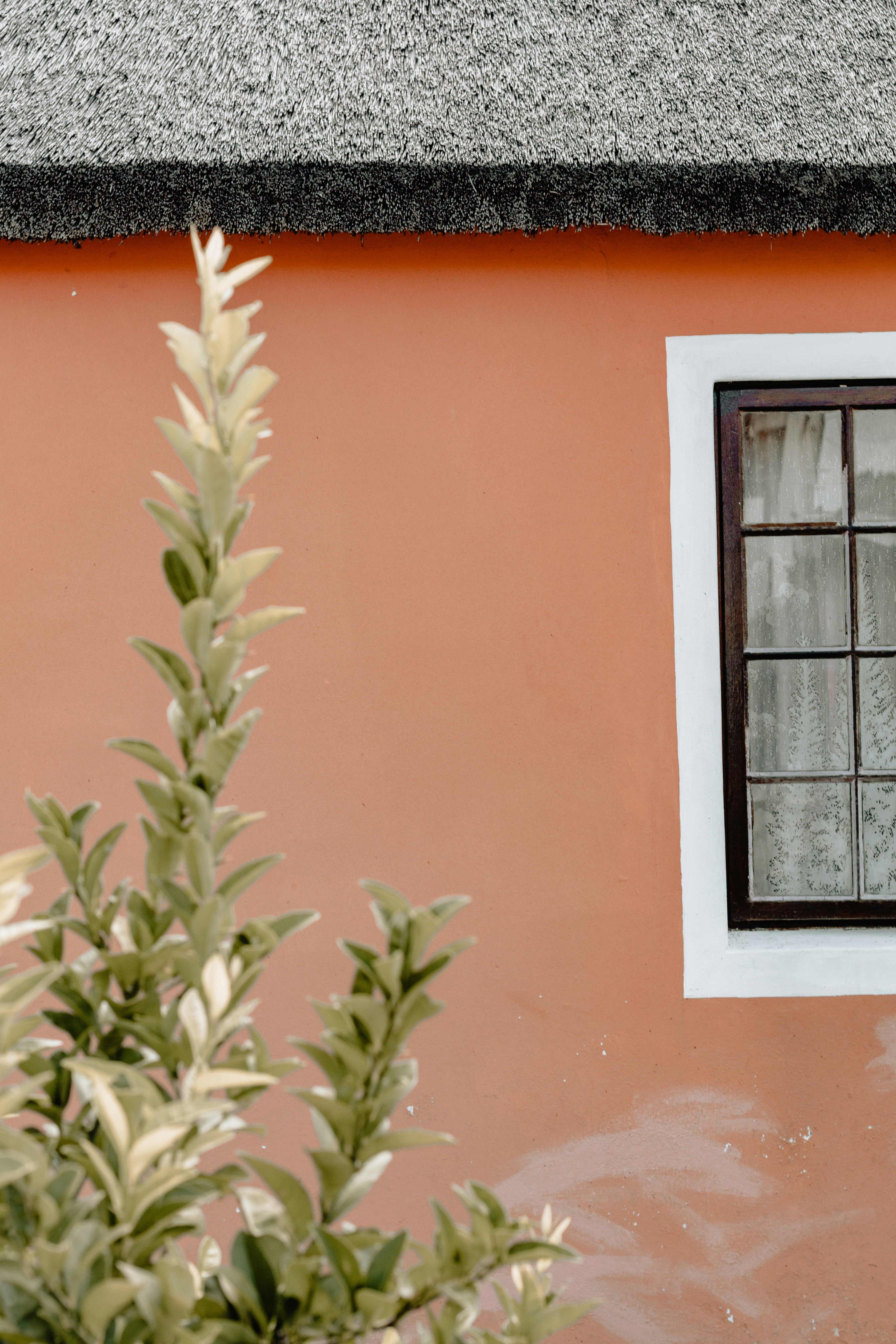 Photo by sincerelymedia