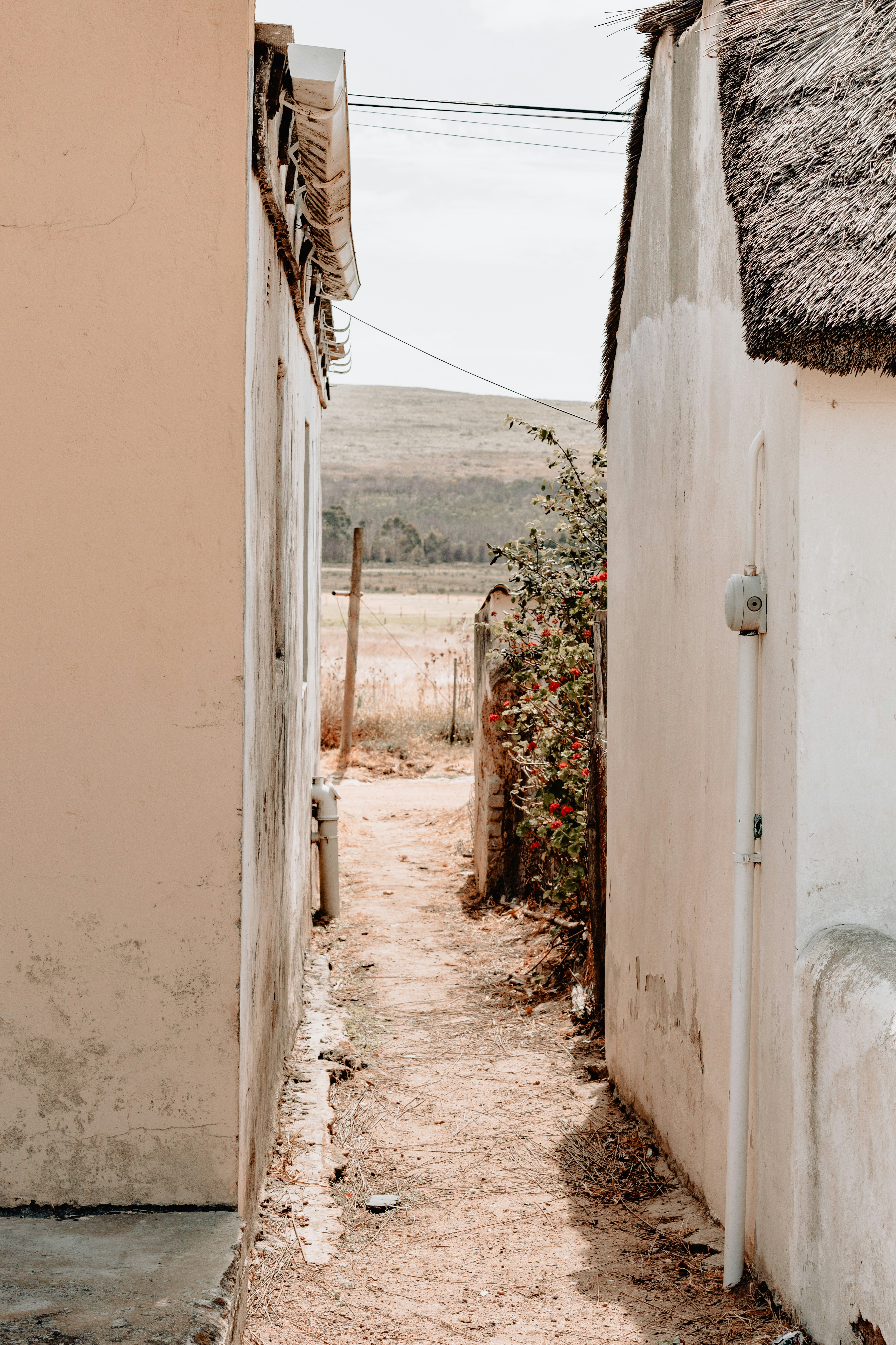 Photo by sincerelymedia