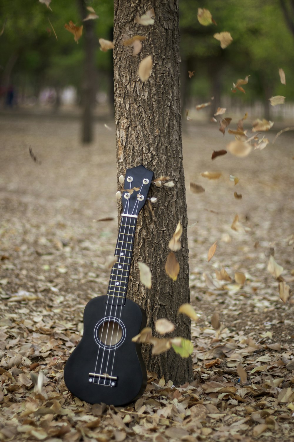 black ukulele under tree