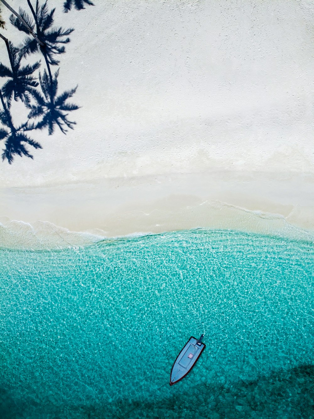 aerial photography blue boat near shore