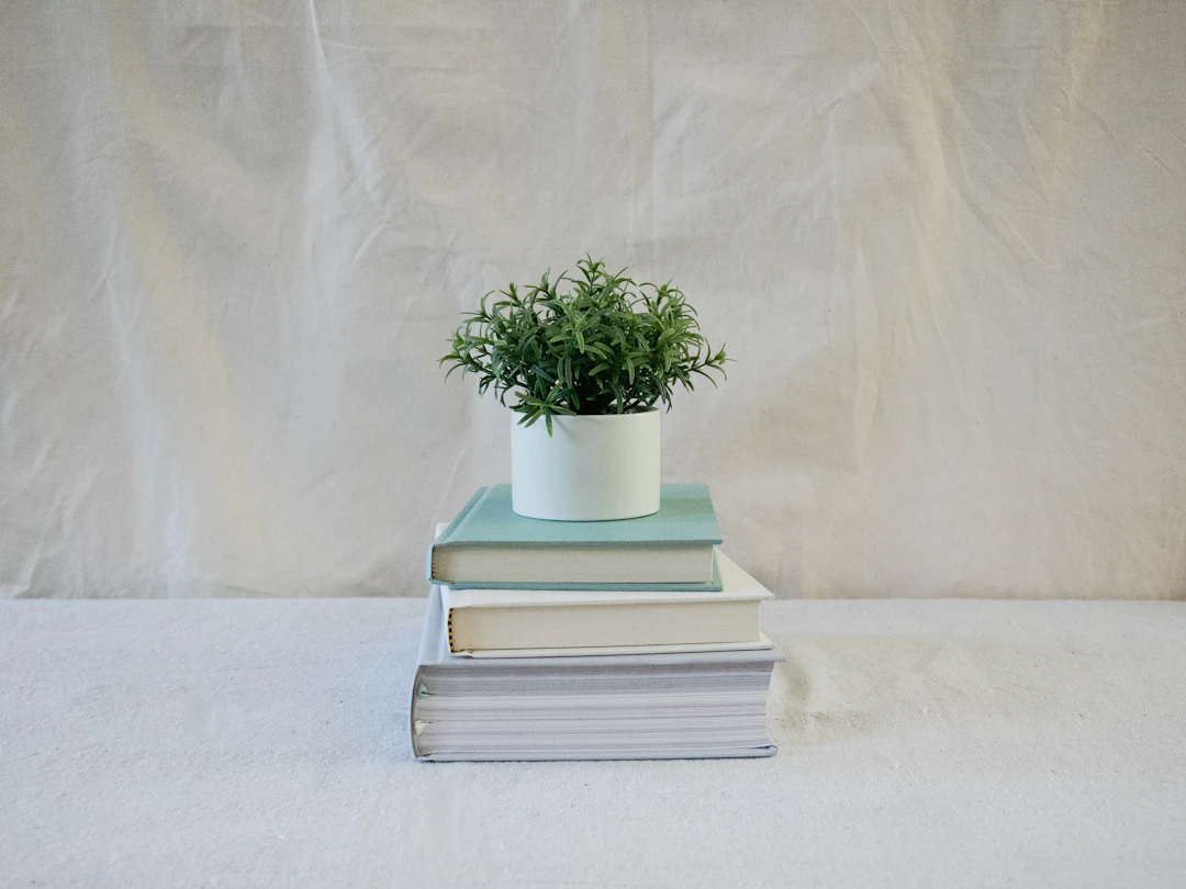 Stack of plain hardcover books with a small plant