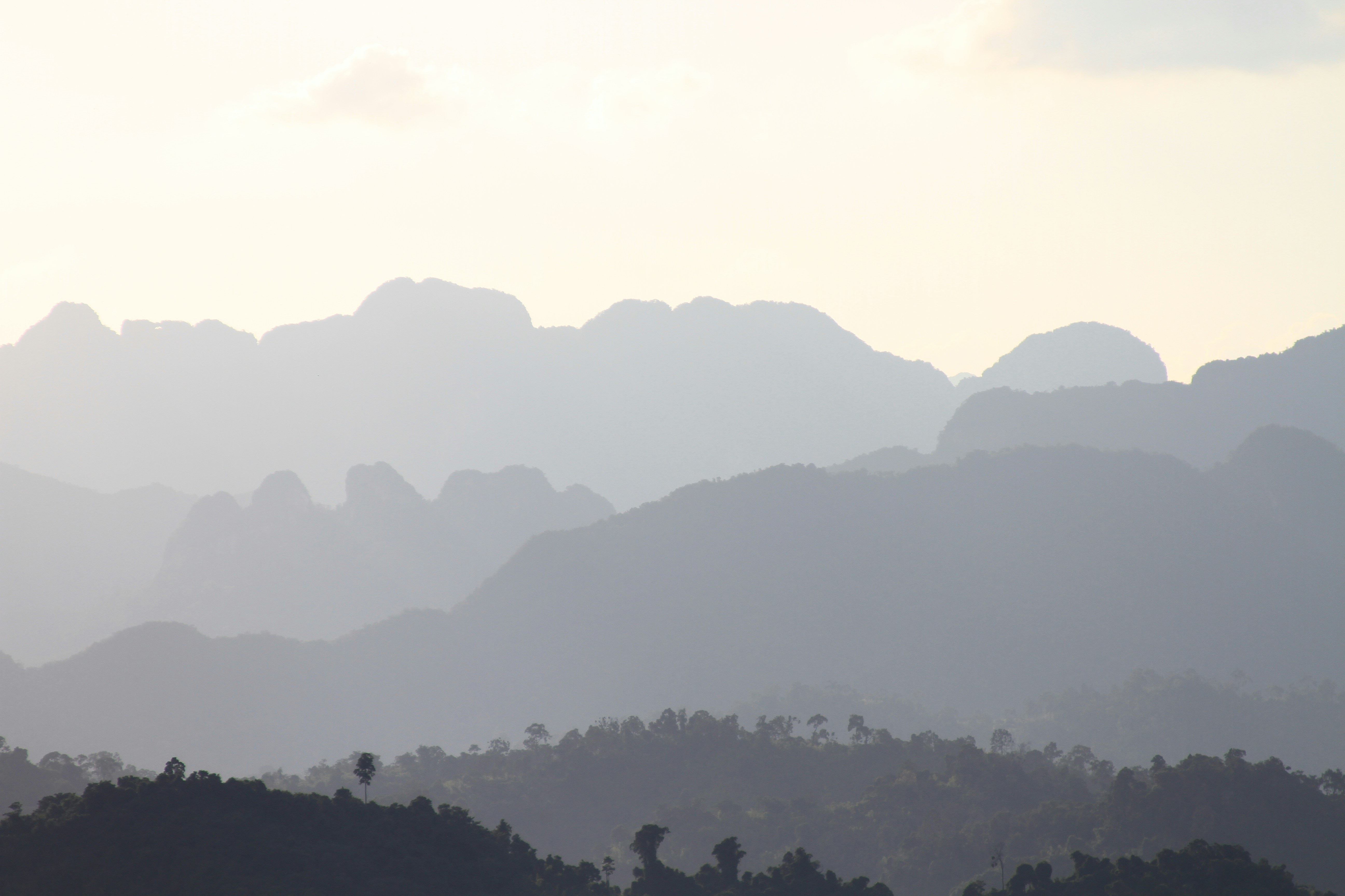 Khao Sok National Park, Thailand - Misty mountain