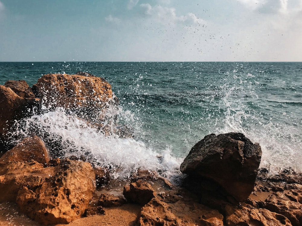 photography of seashore during daytime