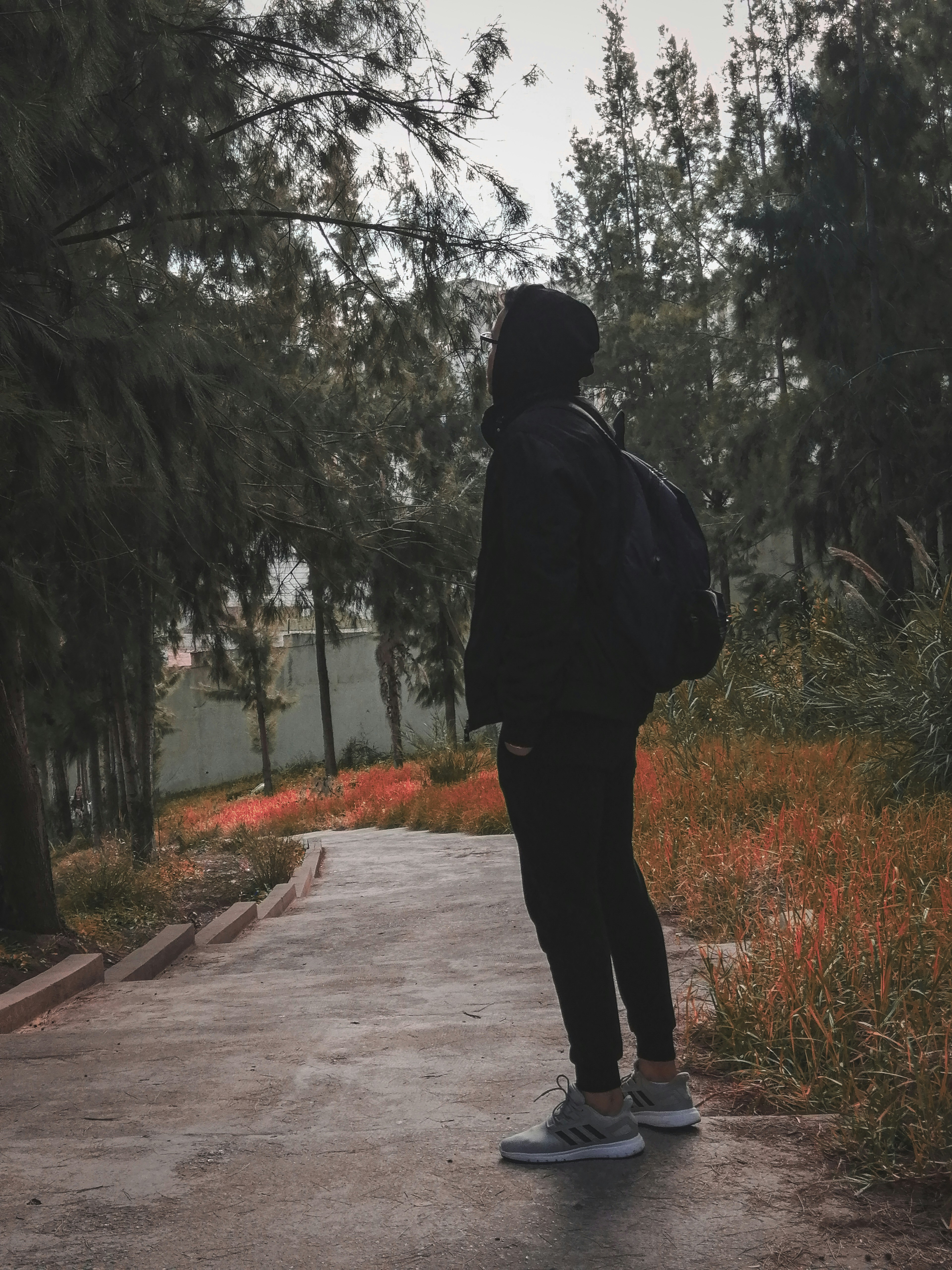 How Do I Deal with Nervousness or Anxiety when Taking the First Steps in Pursuing Someone I Like?