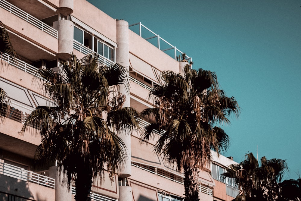 beige concrete building