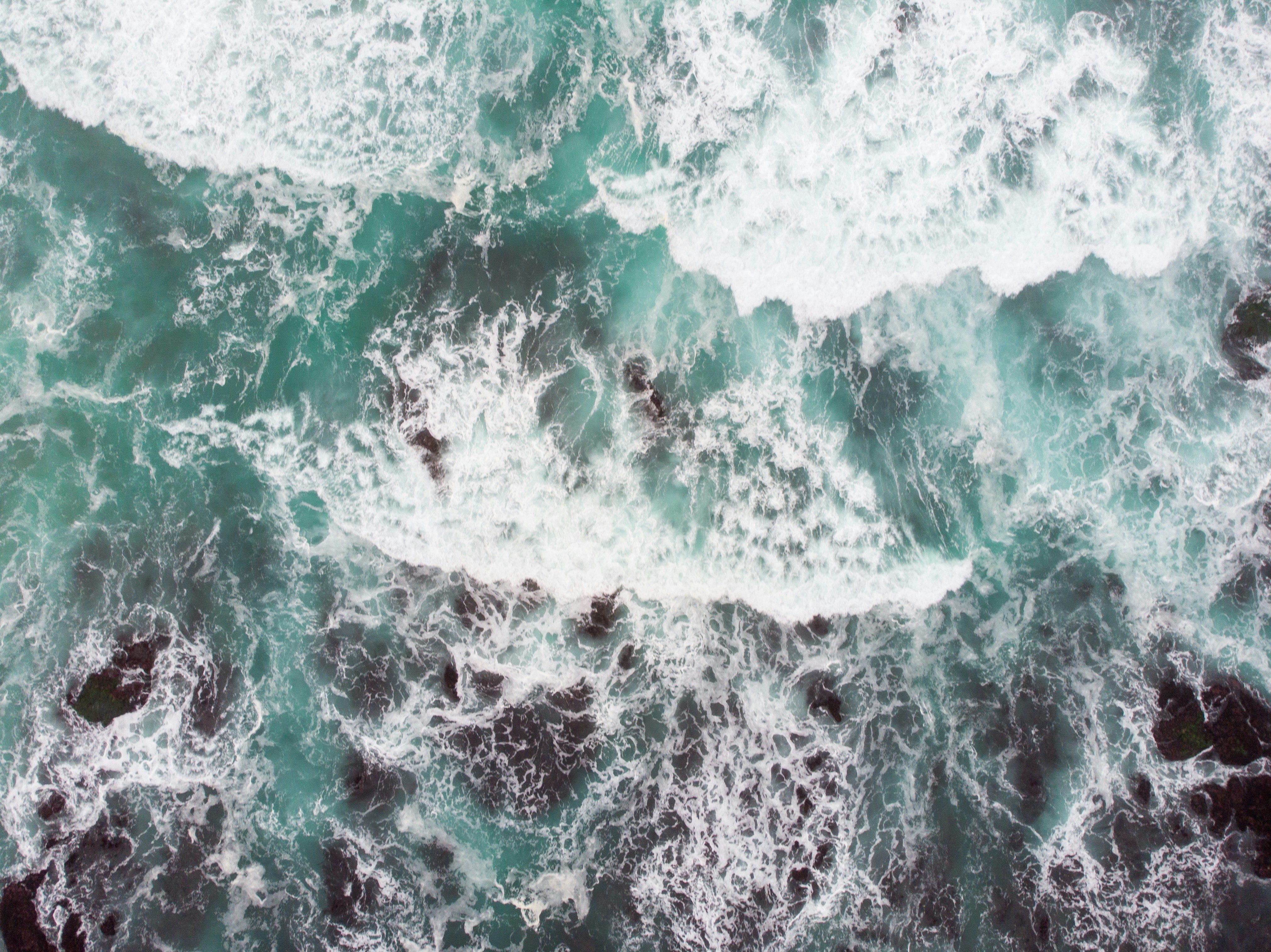 Photo by clayton_cardinalli