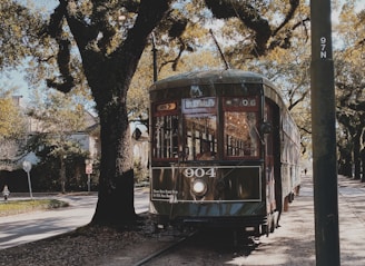 train crossing beside tree