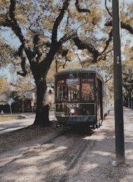 train crossing beside tree