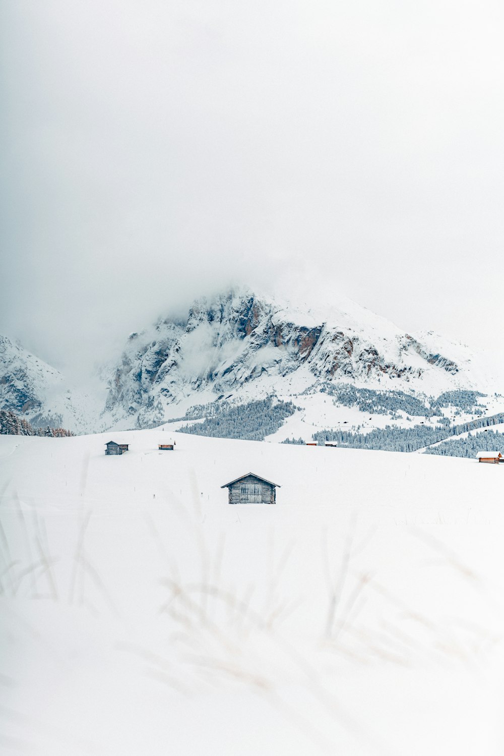 houses covered with snow near mountain