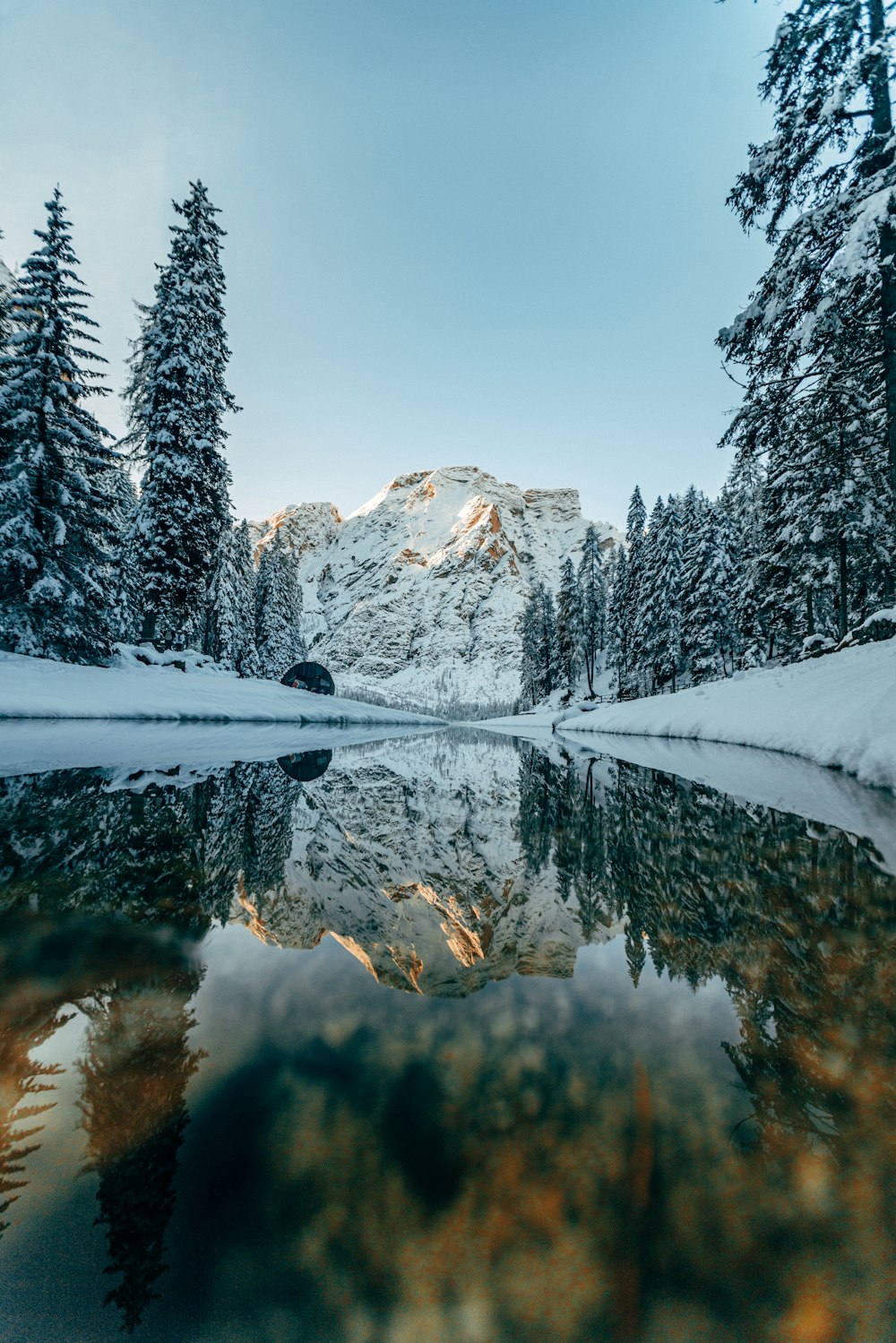 river surrounded by trees covered with snow