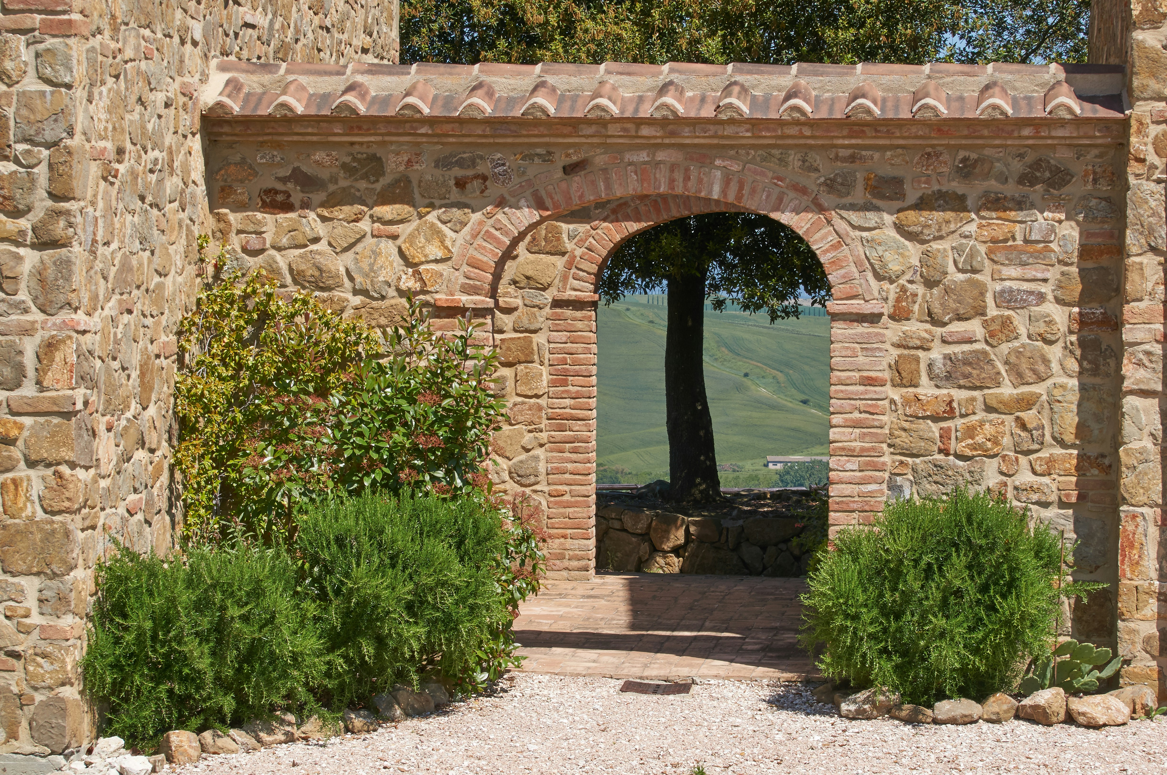 Photo by wolfgang_hasselmann