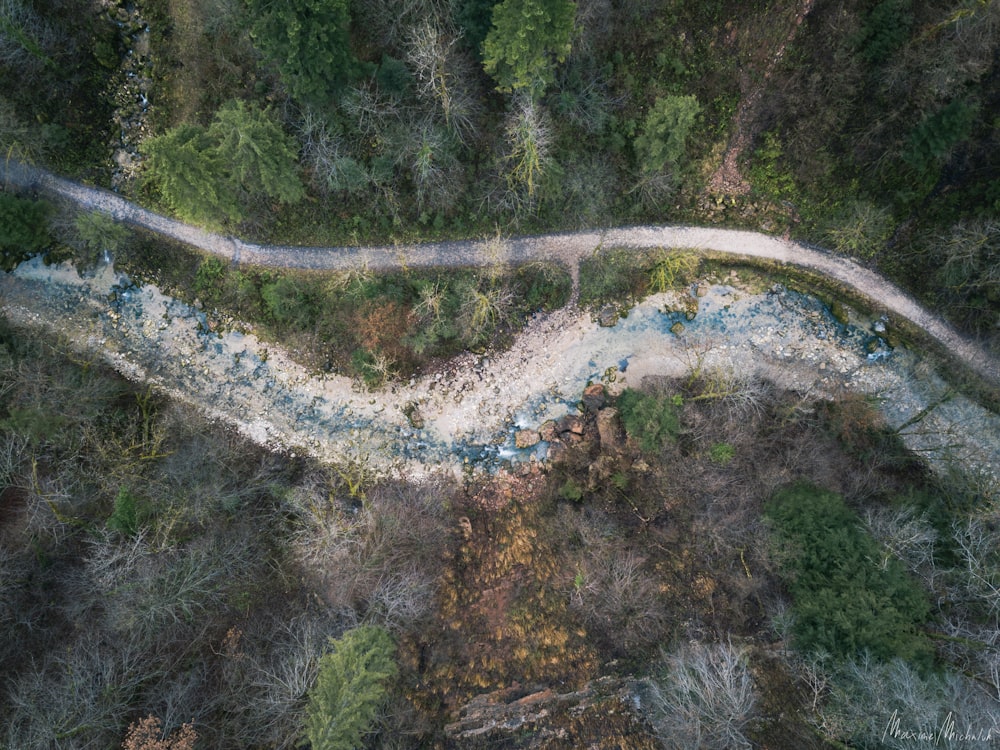 aerial photography of road and trees during daytime