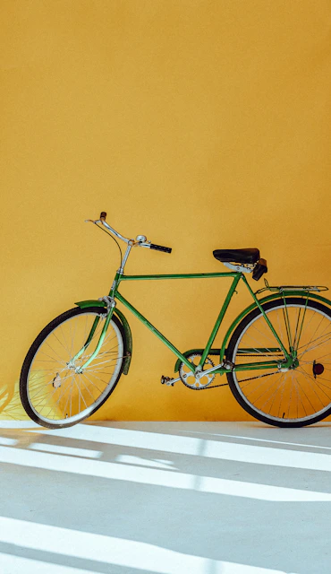 Raleigh Superbe