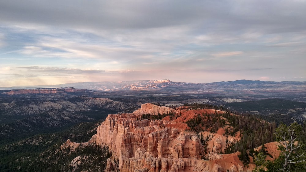 montanhas e árvores durante o dia