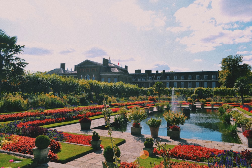 plants beside pool with fountain