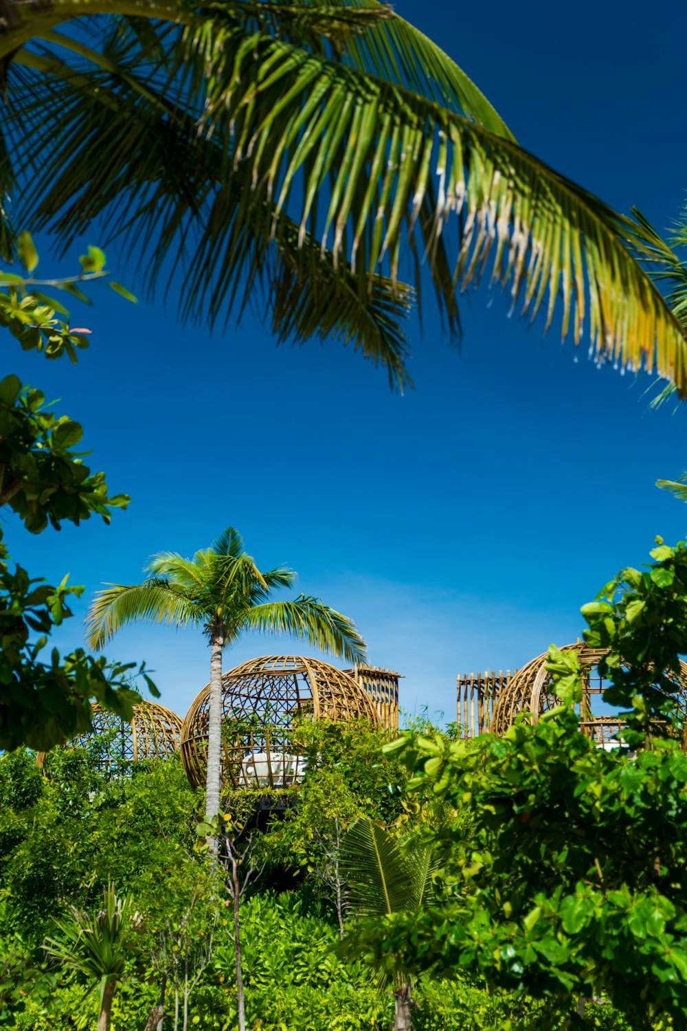 a view of a building through the trees