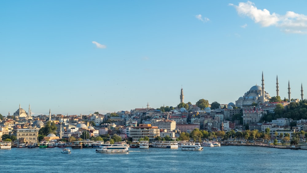 a large body of water with a city in the background