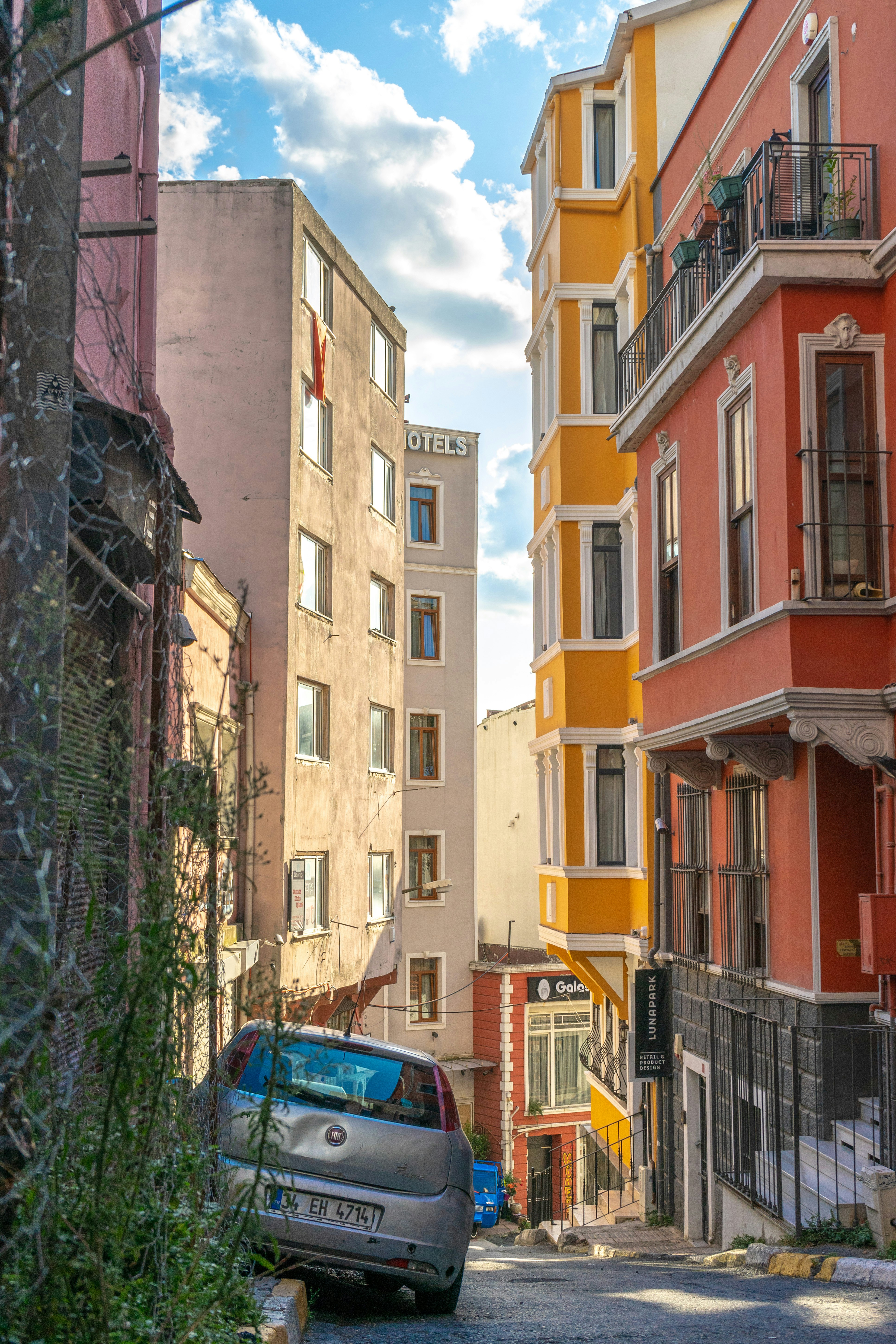 Photo by rozetsky