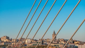 Electrical engineer reviewing blueprints with city skyline in background.