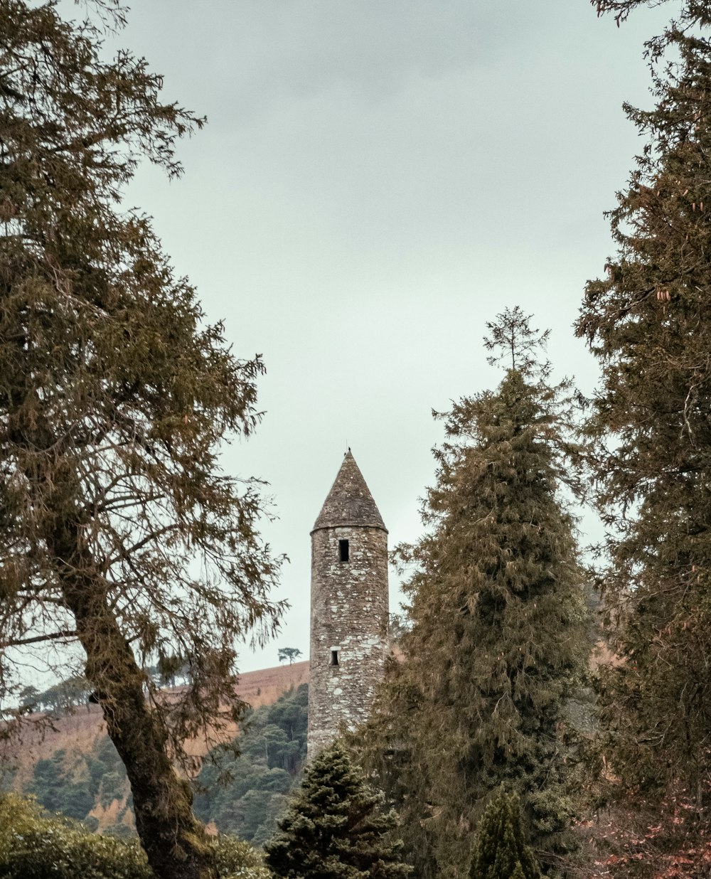 gray and brown tower near trees
