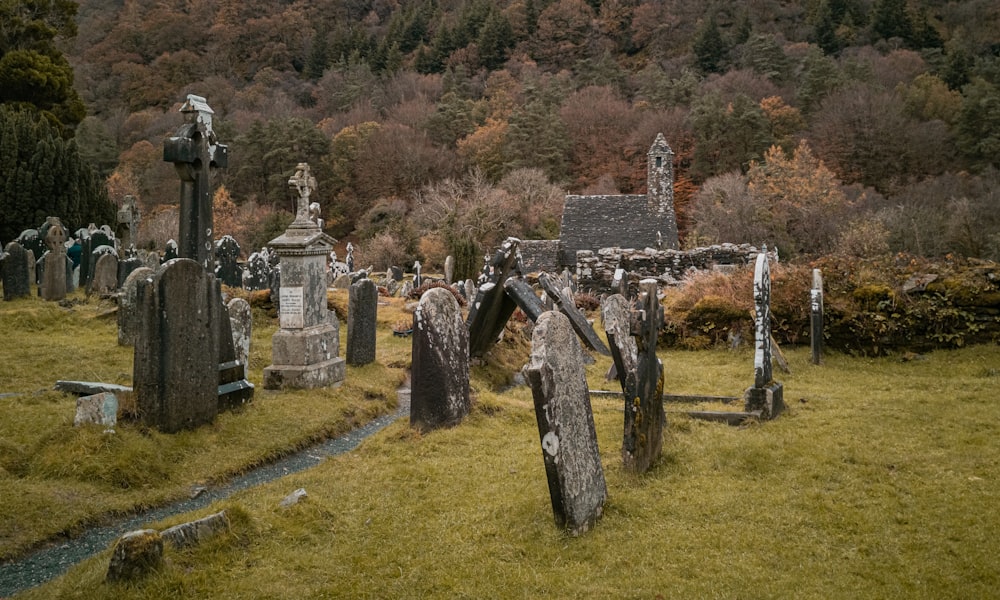 graveyard during daytime