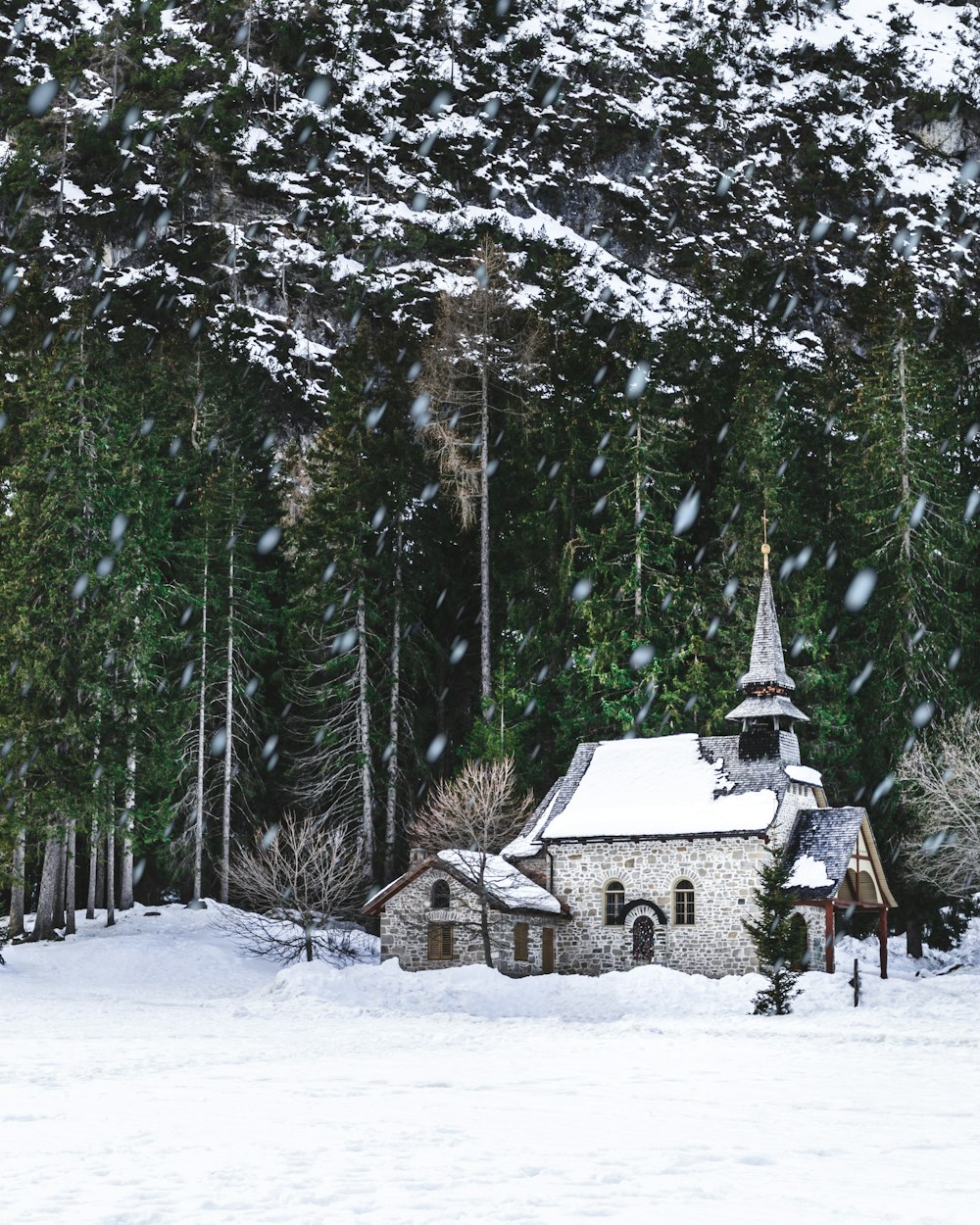 white and gray house covered with snow beside trees