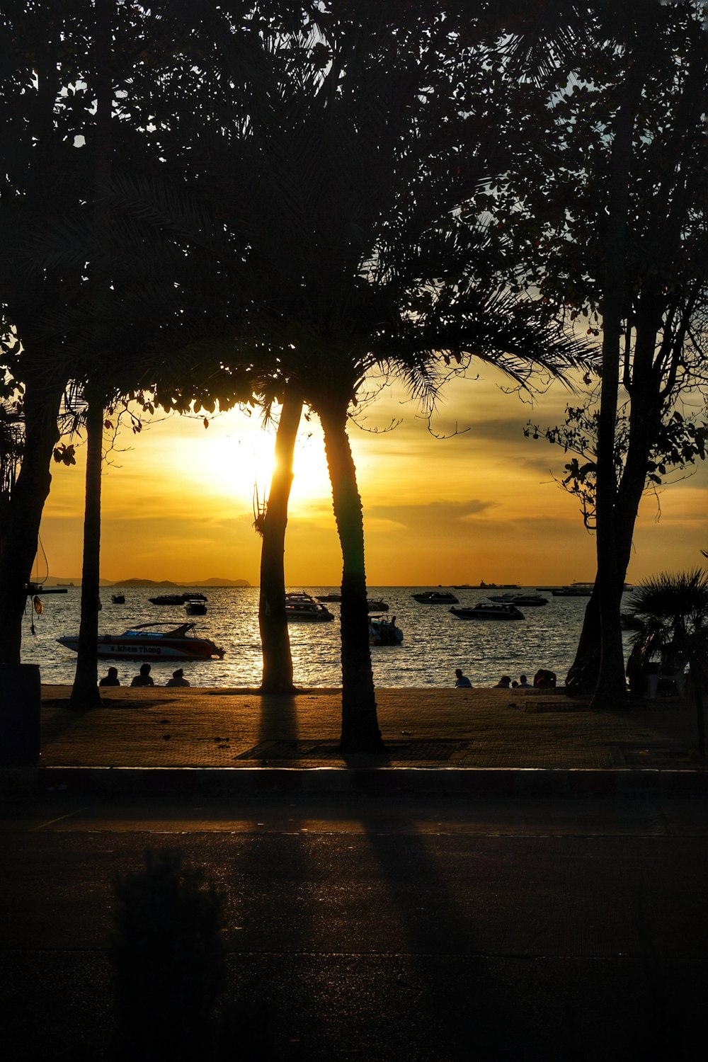 silhouette photography of trees and boat during dawn