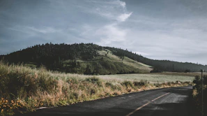 Peaceful countryside road winding through lush green hills in Portugal