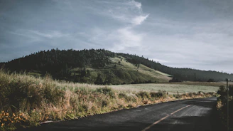 Peaceful countryside road winding through lush green hills in Portugal