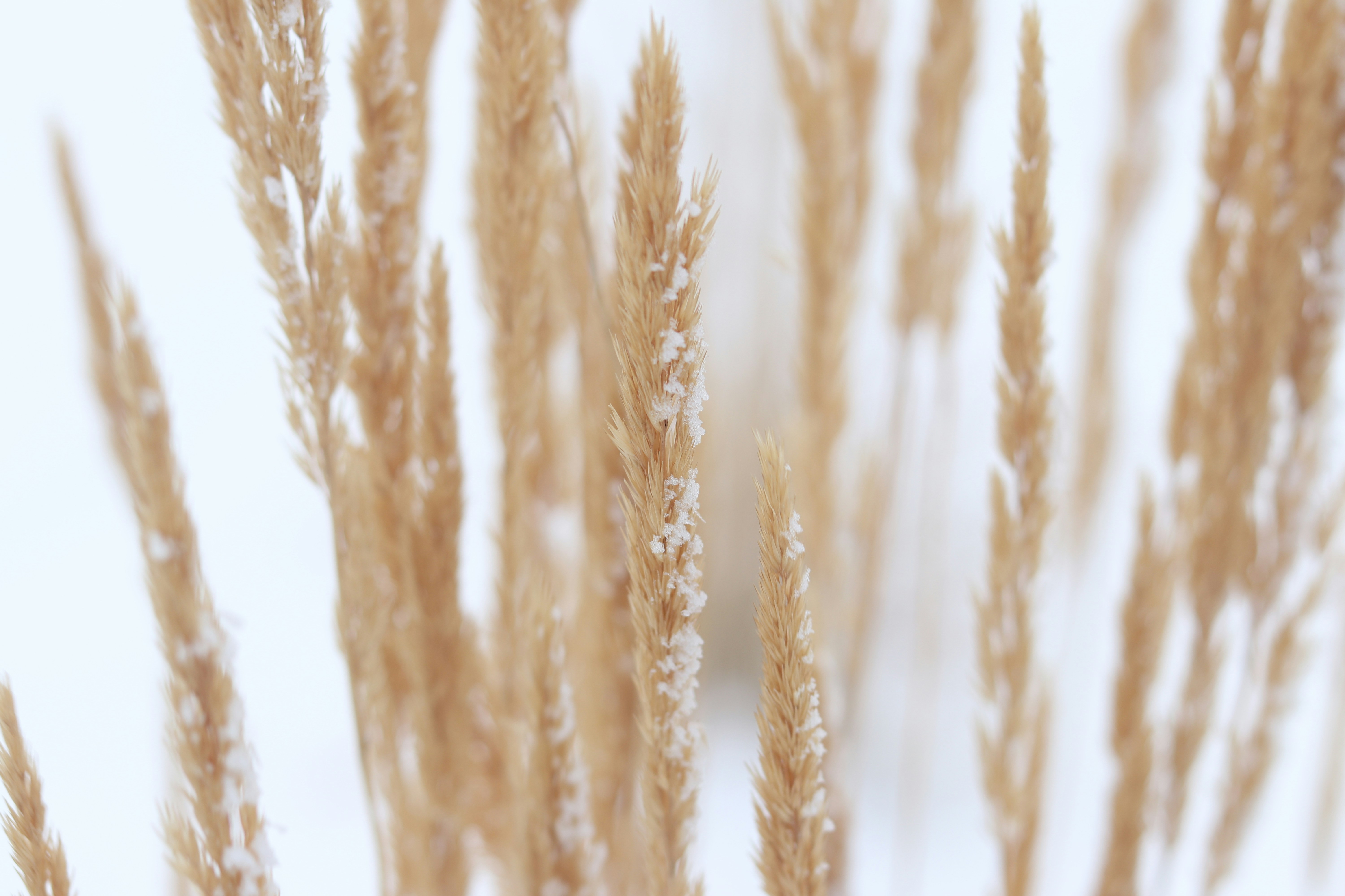 Photo by ms_autumn05