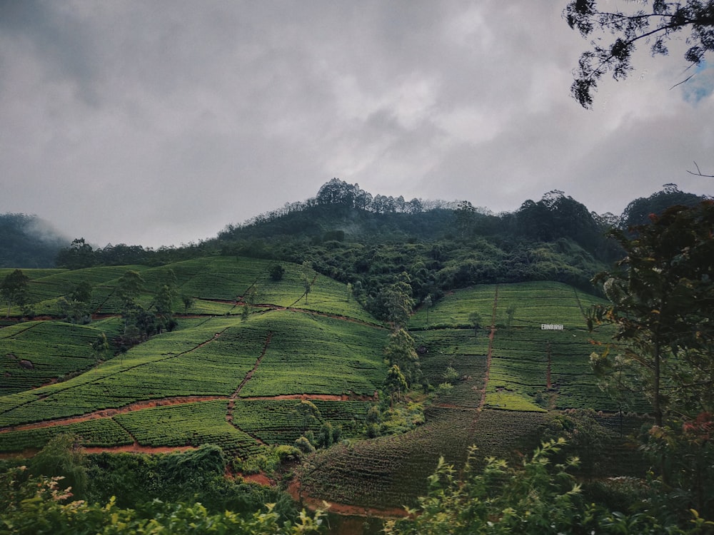 fotografía de paisaje de campo verde que ve la montaña bajo el cielo blanco