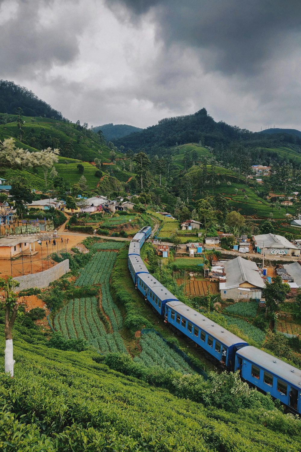 Tren azul que viaja cerca de las casas