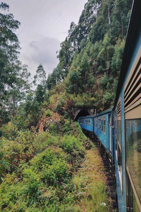 blue train in tunnel during day in Welimada Sri Lanka