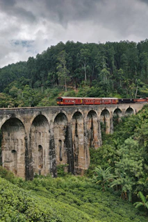 Train panoramique au Sri Lanka