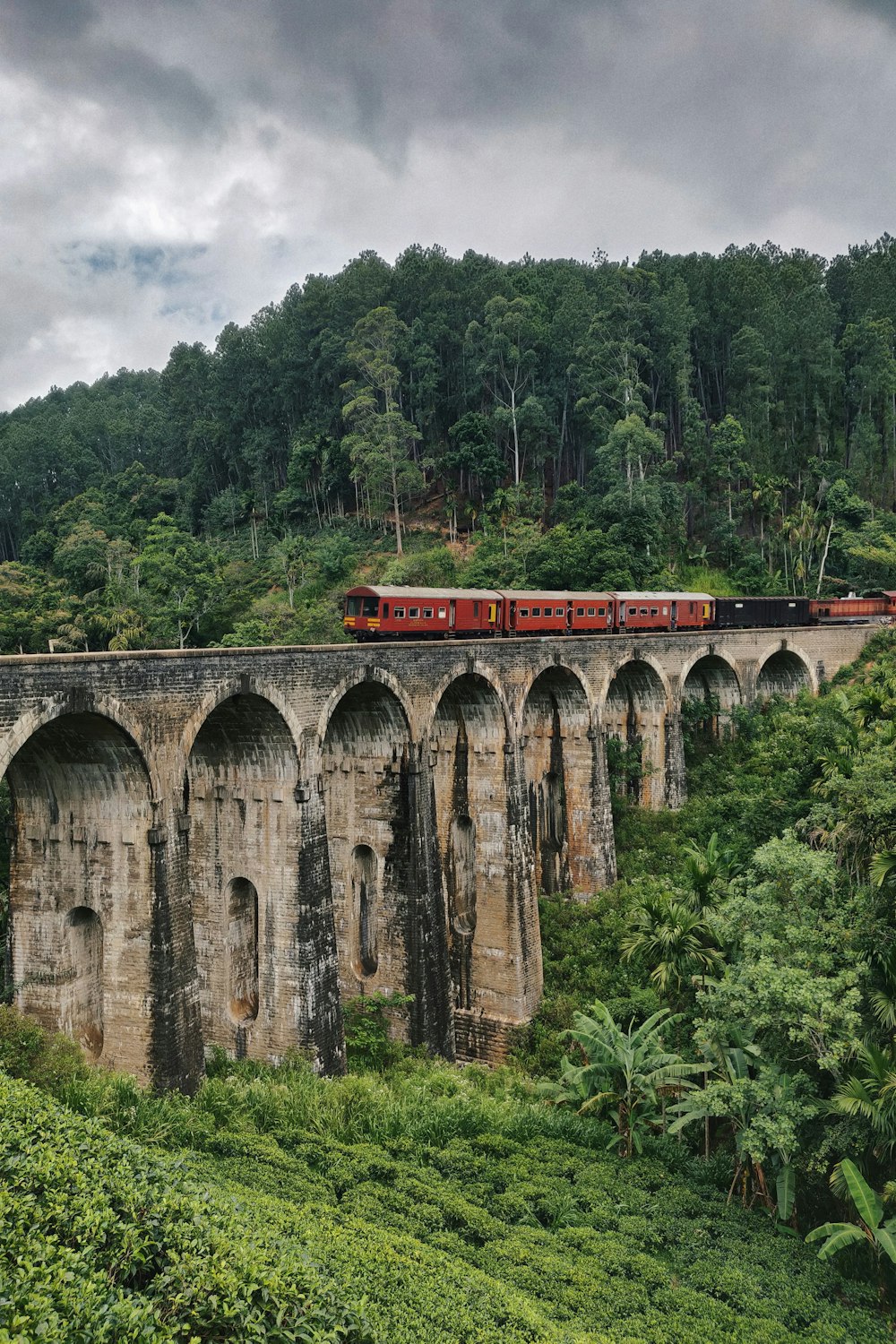 森の中の橋の上を走る列車