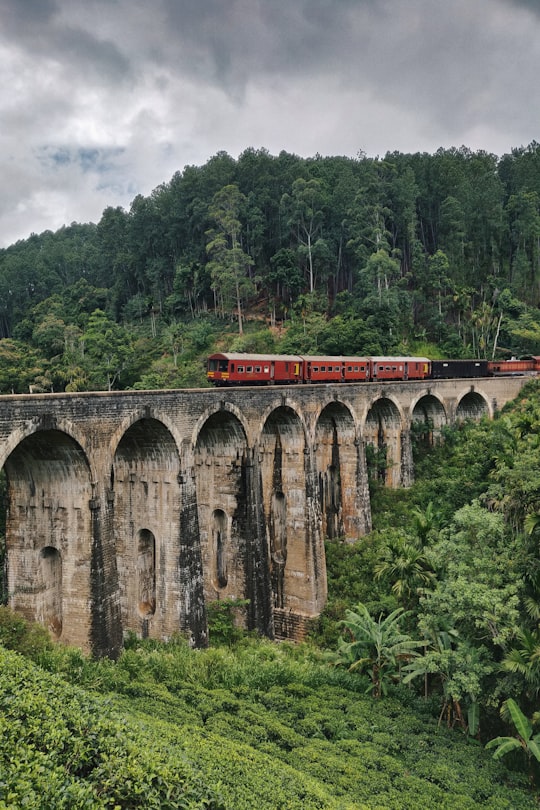 train on bridge in forest in Ella Sri Lanka