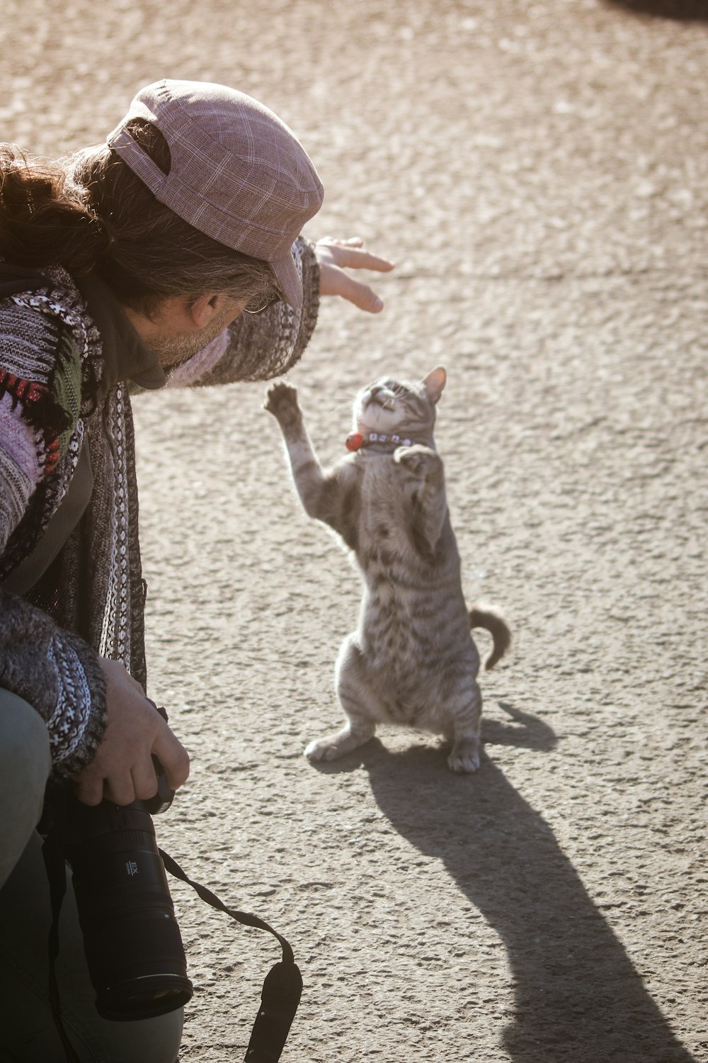 man playing on gray cat